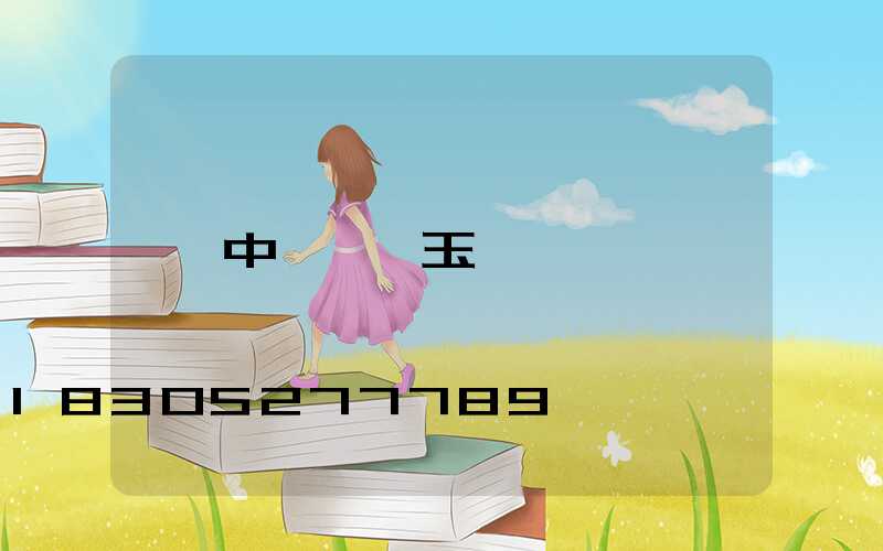 中華燈 玉蘭燈